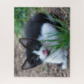 Puzzle tuxedo kitten (Vertical)
