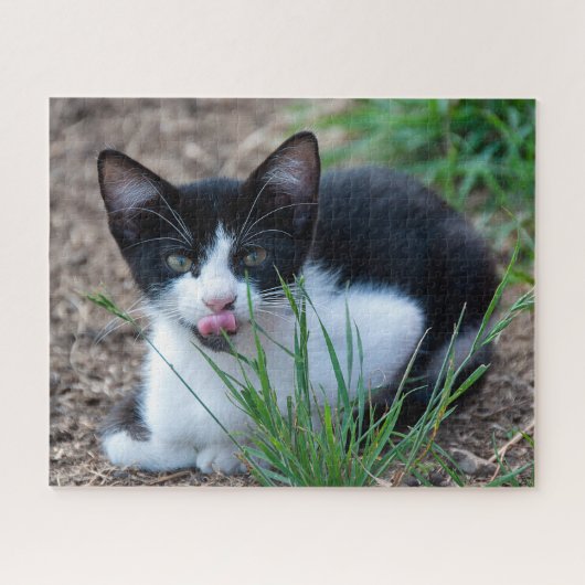 Puzzle tuxedo kitten (Horizontal)