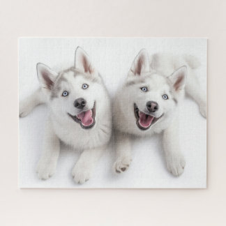 Puzzle Twin Huskies