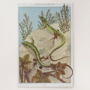 Puzzle Two Lizards Vintage Illustration