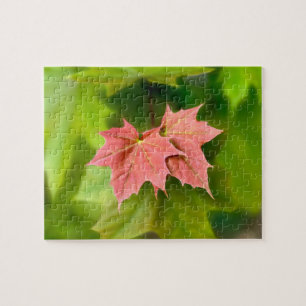 Puzzle Two maple leaves