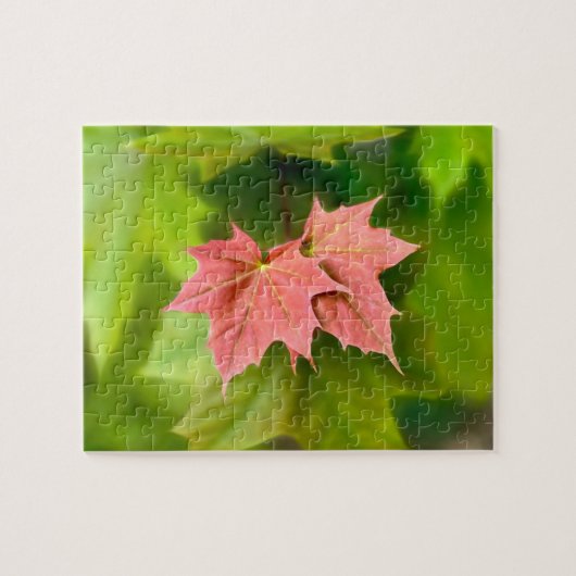 Puzzle Two maple leaves (Horizontal)