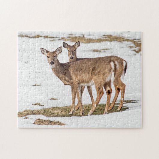 Puzzle Two White-tailed Deer On Alert (Horizontal)