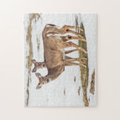 Puzzle Two White-tailed Deer On Alert (Vertical)