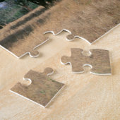 Puzzle Umbrella Thorn Acacia (Acacia tortilis), Mkuze (Côté)