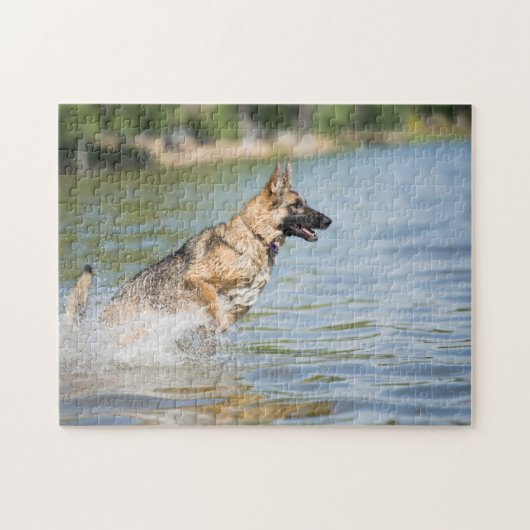 Puzzle Un Berger Allemand Saute Dans L'Eau (Horizontal)