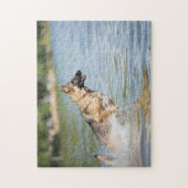 Puzzle Un Berger Allemand Saute Dans L'Eau (Vertical)