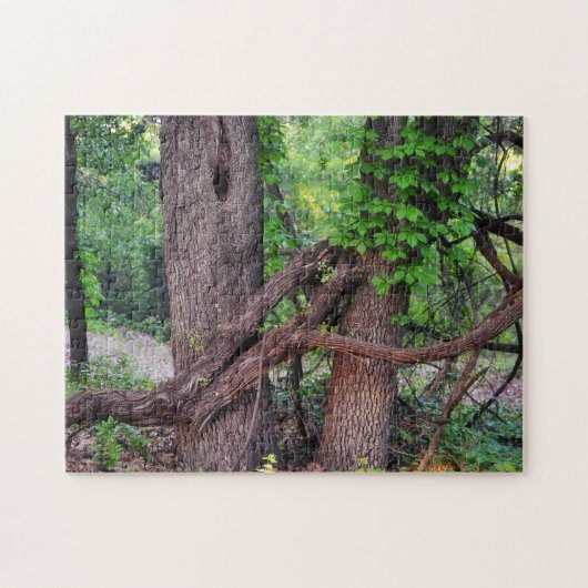 Puzzle Un casse-tête naturel amusant pour un arbre (Horizontal)