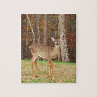 Puzzle Un cerf de rêve de chasseur
