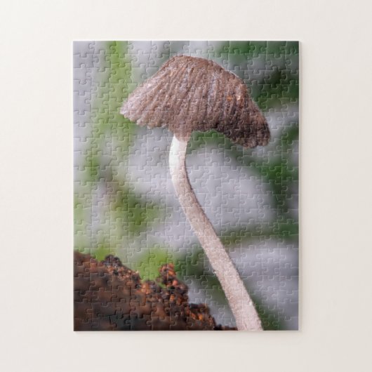Puzzle Un champignon (Vertical)