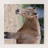 Puzzle Un cheval est un cheval de course - 20x20 pouces (Horizontal)