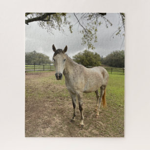 Puzzle Un cheval près d'un pâturage