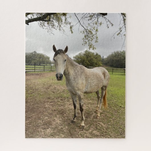 Puzzle Un cheval près d'un pâturage (Vertical)