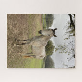 Puzzle Un cheval près d'un pâturage (Horizontal)