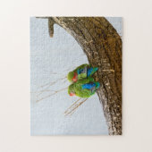 Puzzle Un couple de perruche sur une branche (Vertical)