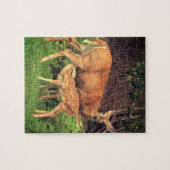 Puzzle Un doe et son père (Horizontal)