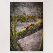 Puzzle Un écureuil (Vertical)