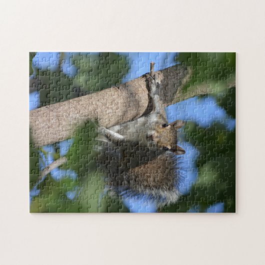 Puzzle Un écureuil mignon à l'oeil dans un arbre photo (Horizontal)