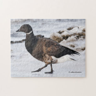 Puzzle Un Goosesteppin' Brant
