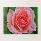 Puzzle Un Grand Rose Simple Rose Rose Rose Élevé (Horizontal)