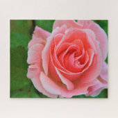 Puzzle Un Grand Rose Simple Rose Rose Rose Élevé (Horizontal)