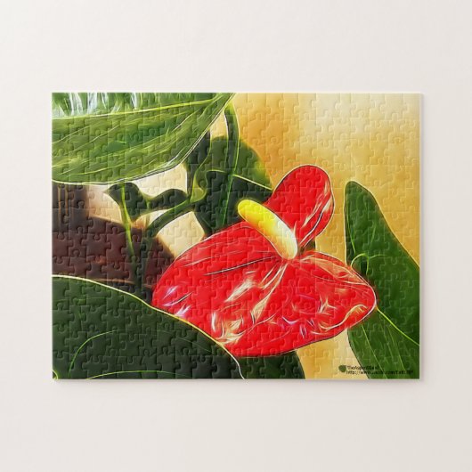 Puzzle Un Gras Rouge Anthurium Flower - photo de fond (Horizontal)