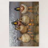 Puzzle Un groupe de canards photo (Vertical)