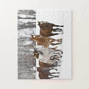 Puzzle Un hiver pittoresque de course