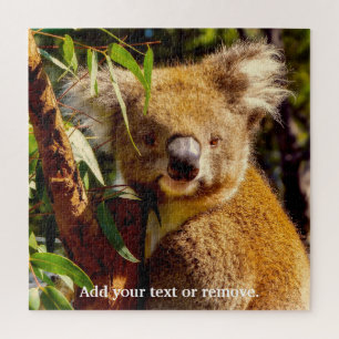 Puzzle Un joli ours brun koala mangeant des feuilles d'eu