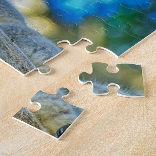 Puzzle Un Koala dormant tranquillement dans un arbre (Côté)