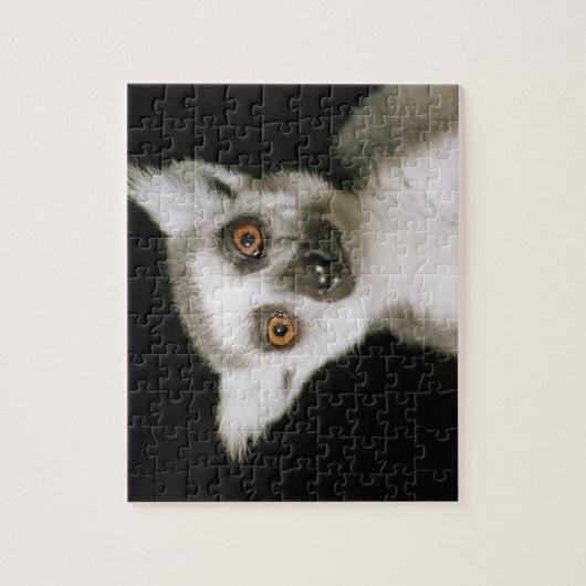 Puzzle Un lémur. (Vertical)