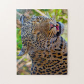 Puzzle Un léopard africain sauvage. (Vertical)