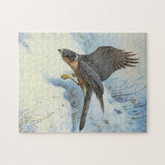 Puzzle Un Moineau-faucon en vol (Horizontal)