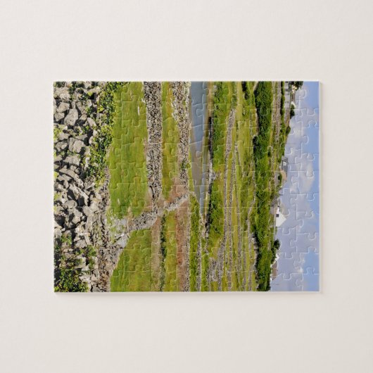 Puzzle Un mur de pierre irlandais (Horizontal)