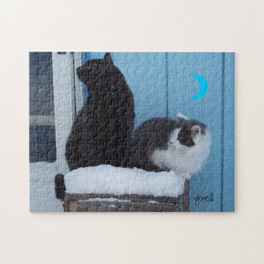 Puzzle Un nouveau mème de chat à venir (Horizontal)