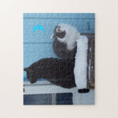 Puzzle Un nouveau mème de chat à venir (Vertical)
