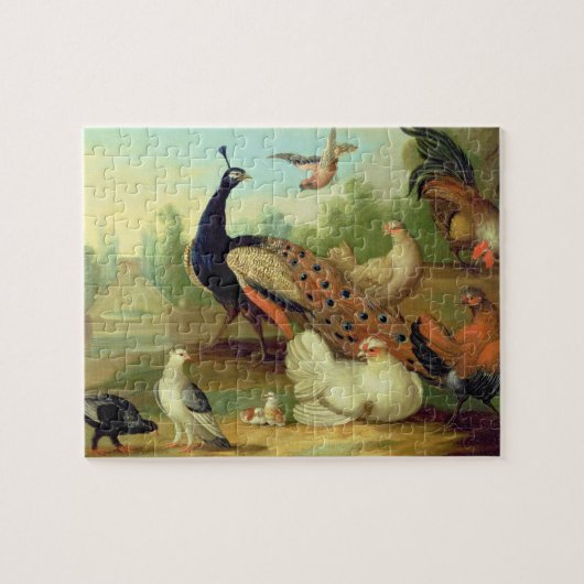 Puzzle Un paon, colombes, poulets et un geai en parc (Horizontal)