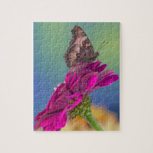 Puzzle Un papillon Papilio Multicaudatus (Vertical)
