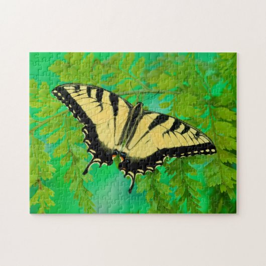 Puzzle Un papillon Papilio posé (Horizontal)