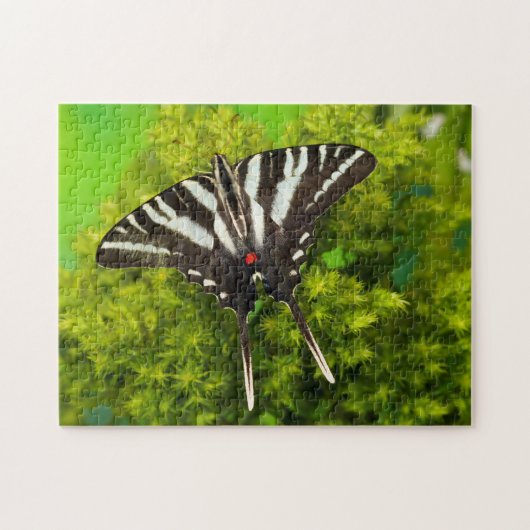 Puzzle Un papillon swallowtail nord-américain (Horizontal)