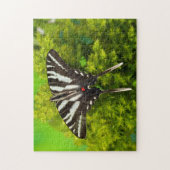 Puzzle Un papillon swallowtail nord-américain (Vertical)