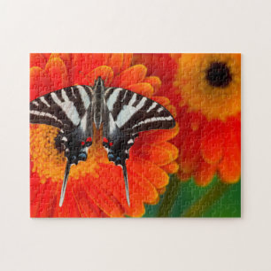 Puzzle Un papillon swallowtail zèbre