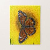 Puzzle Un papillon vice-roi | Limenitis Archippus (Vertical)