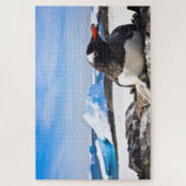 Puzzle Un Pingouin Gentoo Se Trouvant Sur Les Rochers De  (Vertical)