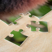 Puzzle Un portrait d'un mignon panda rouge (Côté)