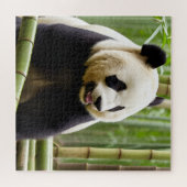 Puzzle Un portrait en gros plan d'un panda (Horizontal)