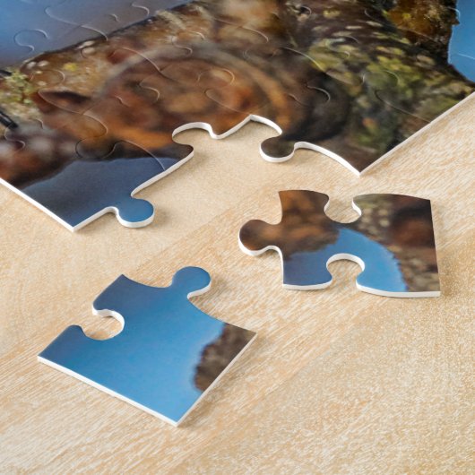 Puzzle Un poulet à carreaux noirs sur l'arbre à poires (Côté)