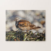 Puzzle Un Ravionneur Ruddy Turnstone (Horizontal)