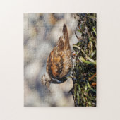 Puzzle Un Ravionneur Ruddy Turnstone (Vertical)