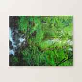 Puzzle Un ruisseau dans une forêt ancienne (Horizontal)
